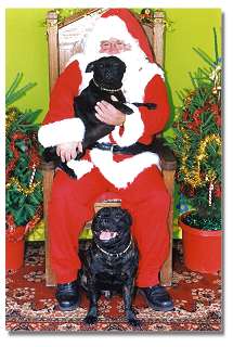Two of his progeny with Santa